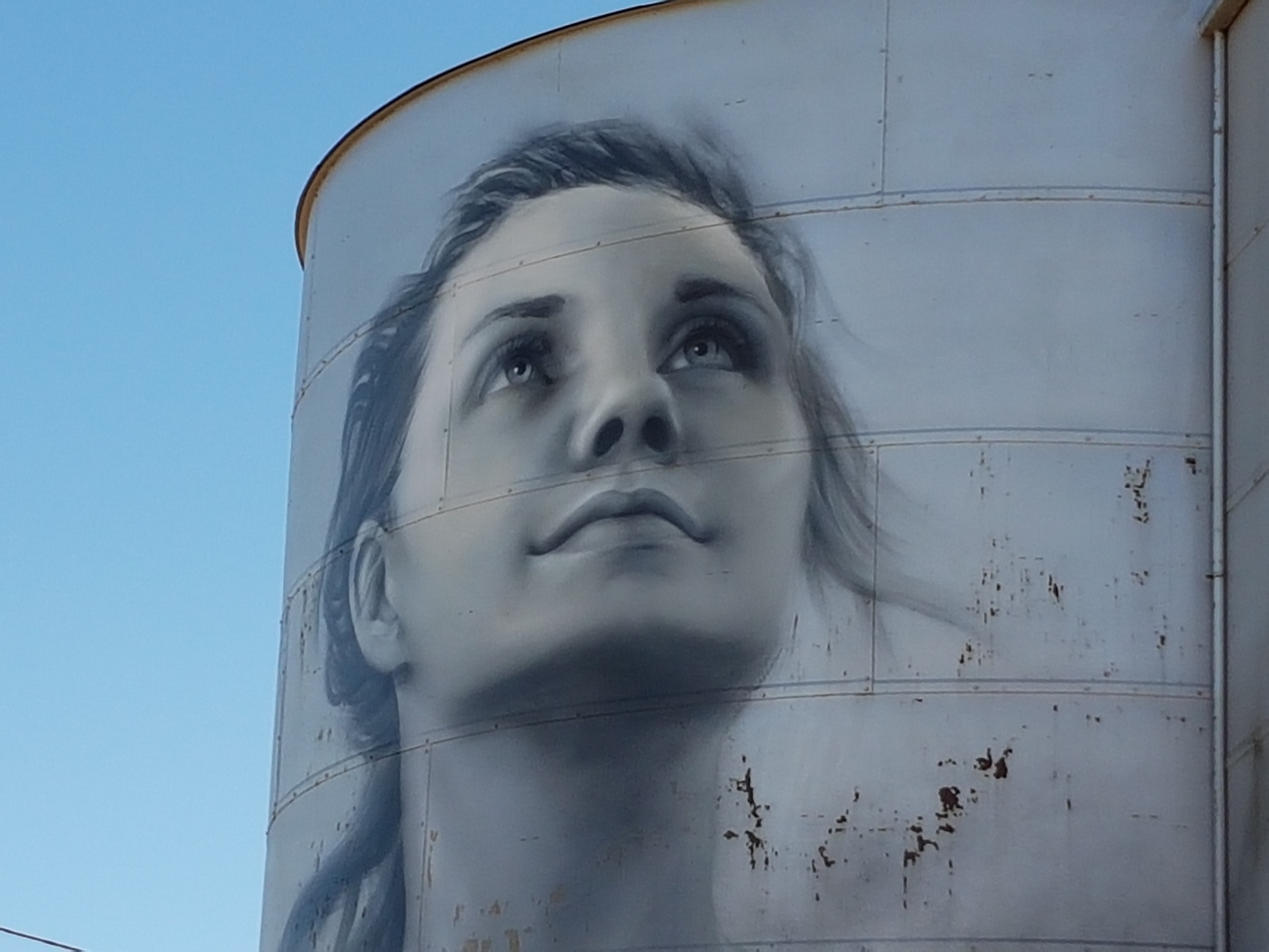 Ebony Baker Rapunyup silo