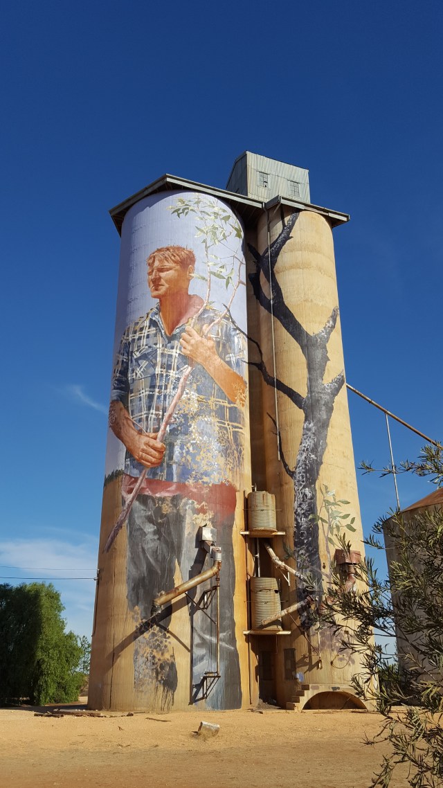 Noodle at Patchewollock